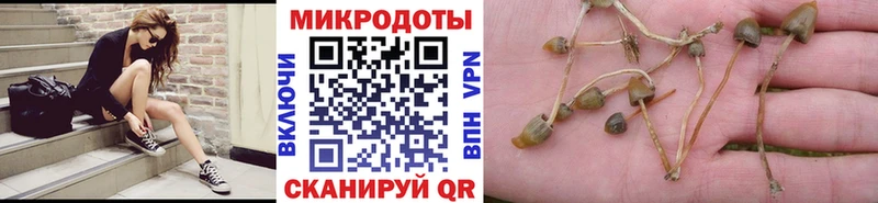 купить наркотики сайты Улан-Удэ Галлюциногенные грибы MAGIC MUSHROOMS