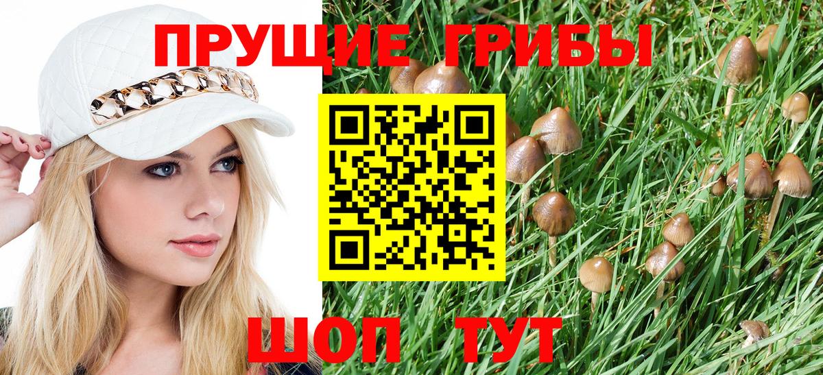 Псилоцибиновые грибы Psilocybine cubensis Улан-Удэ